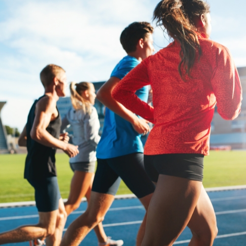 champ d'apprentissage CA 1 collectivités, collèges / Lycées, écoles primaires et clubs sportifs