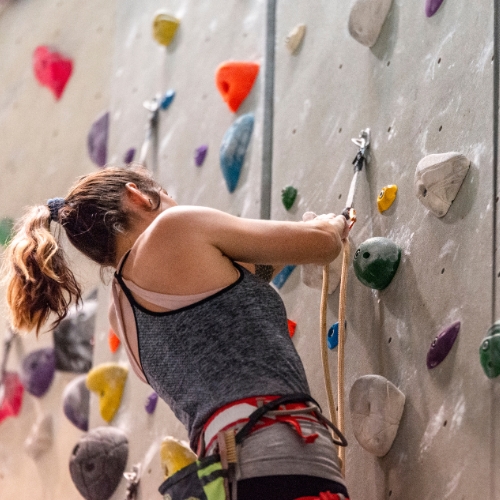 champ d'apprentissage CA 2 collectivités, collèges / Lycées, écoles primaires et clubs sportifs