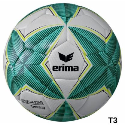 Ballon Football Erima Senzor Training