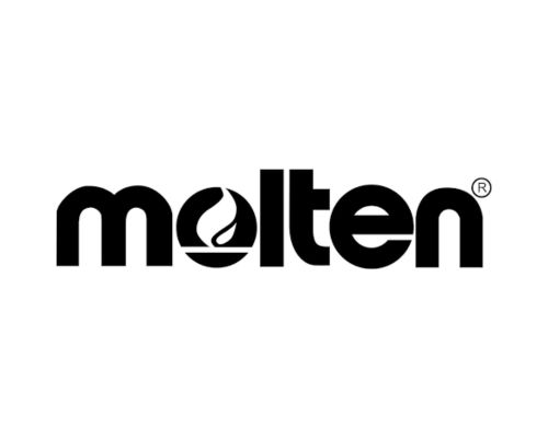 Logo Molten Volleyball