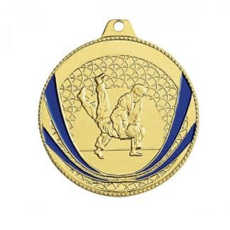 médaille en or pour sport de combat