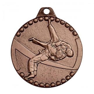 médaille bronze karate