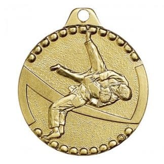 médaille or karate