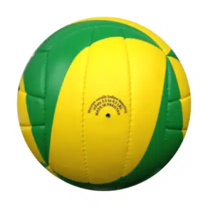 ballon beach volley jaune et verte vue de dos.
