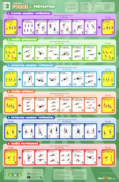 Fiches et posters pédagogiques Musculation EPS 2 : Forme et prévention – Image 2