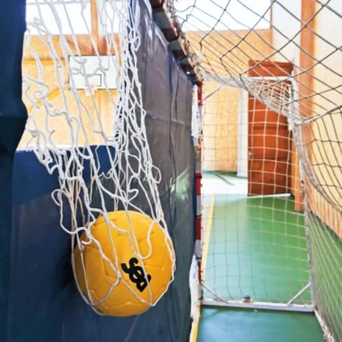cible pour but de handball