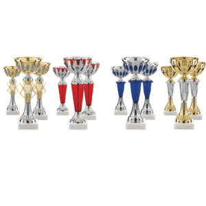 Lot de 12 Coupes