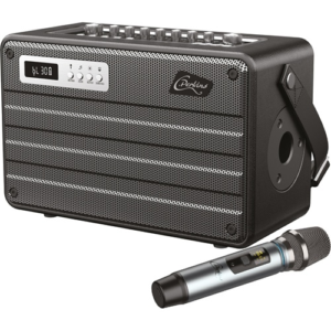 Enceinte portable Pro Roady FL de couleur noire avec un micro