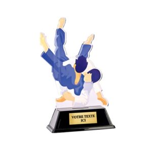 Trophée sportif en acrylique de 16cm de haut représentant deux judokas